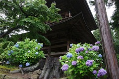 160623�߳л���������5