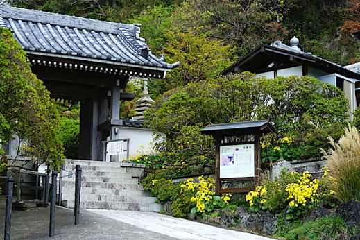 181113���ܱ��ĥ�֥�3