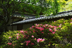 190603¾ôÃÒ»û¥µ¥Ä¥3
