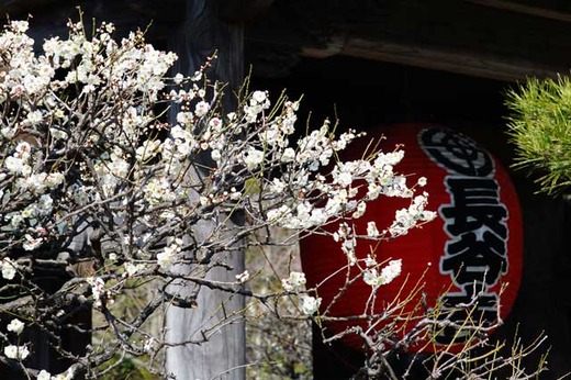 130228Ĺë������2