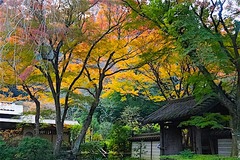 151216����������2