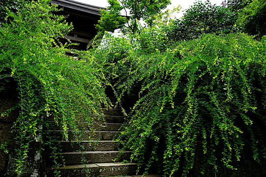 190718��¢���ϥ�