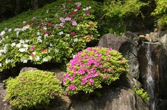 110427Ĺë���ĥĥ�1