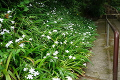 160427̯�ܻ����㥬1