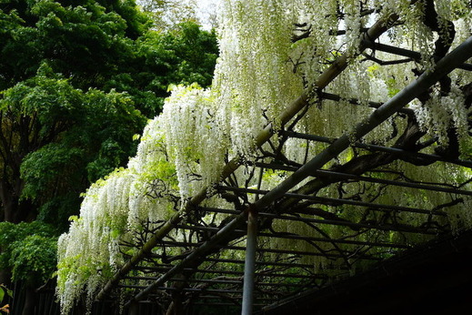 170507�Ѿ��������ե�2