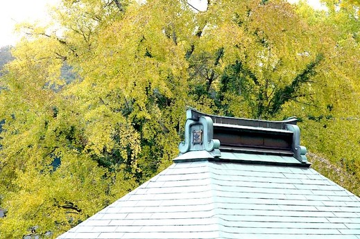 141112Ĺ��������