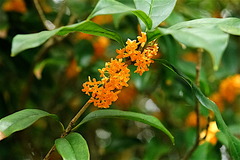 161002̯�ܻ�����⥯����1