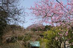 100320��§������