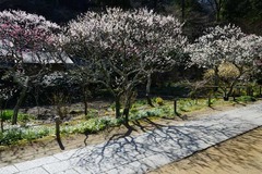 130312Åì·Ä»û¥¦¥á3