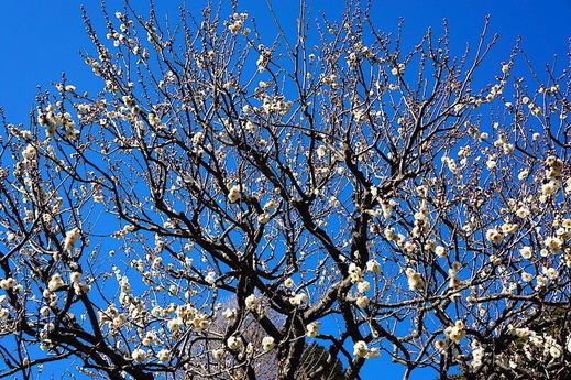 230129Ĺë������2