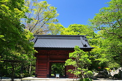 170511̯�ܻ�����1