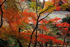 161214̯�ܻ�����4