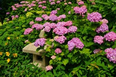 120615Ĺë����������