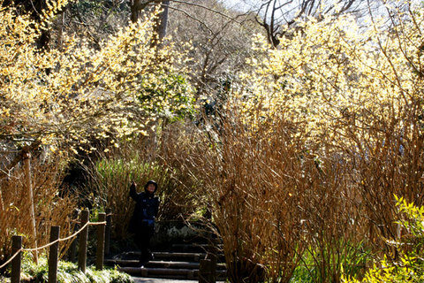 080111��������Х���