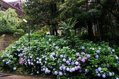 160623�߳л���������1