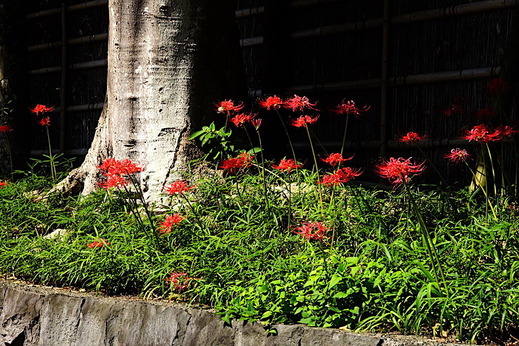 210922�ᲬȬȨ�ܥҥ���Х�