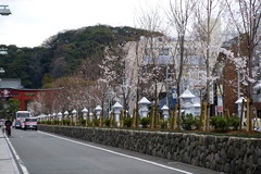 160327Ãʳ륵¥¯¥é1