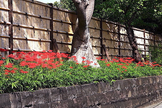 201002�ᲬȬȨ�ܥҥ���Х�1