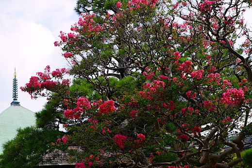 190903�ܳл����륹�٥�2