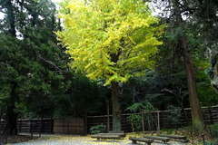 151125���һ�����