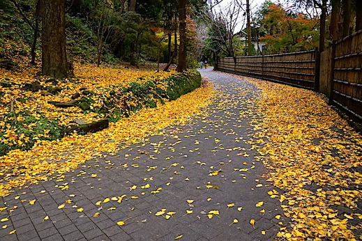 181209���һ�����2