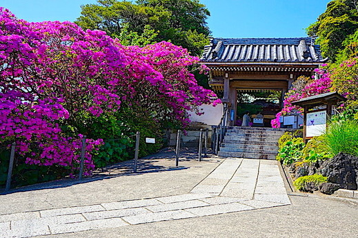 230427���ܱ��ĥĥ�1