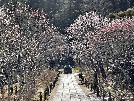 220316��Ļ�����