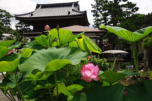 200629�ܳл��ϥ�