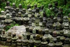 100526������������