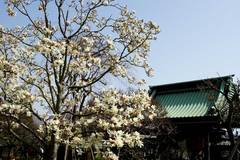 100320Ĺë»û¥â¥¯¥ì¥ó
