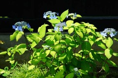 120524��Ļ�������������