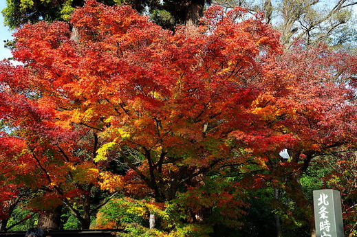 221203�߳л�����1