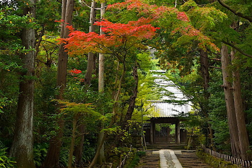 161114��ʡ������