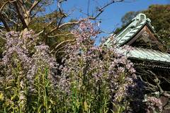 091103��¢��������