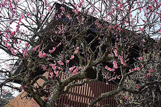 190305̯�ܻ�����1