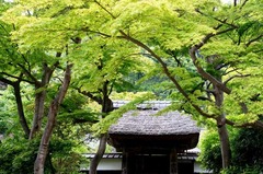 130523�߳л�����