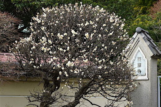 160204�Ѿ����ϥ��Х�