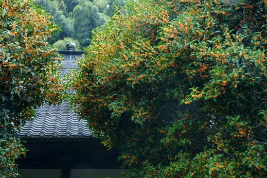 111005�߱�������⥯����