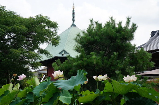 160725�ܳл��ϥ�