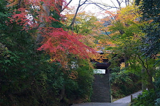 151223̯�ܻ�����1