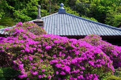 120511���ܱ��ĥĥ�3