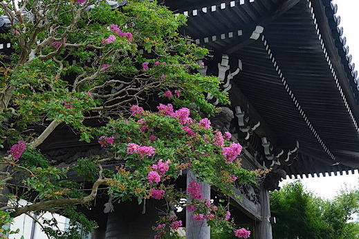 200730�ܳл����륹�٥�