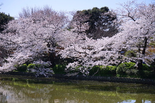 190404��ʿ�ӥ�����