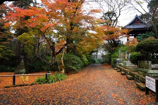 131219̯�ܻ�����1