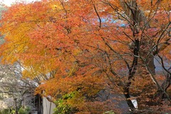 110105̯�ܻ�����3