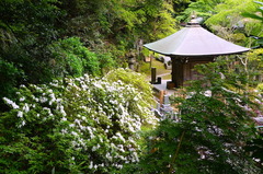 160423�¹������ĥĥ�3