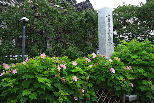 200730̯δ���ե襦