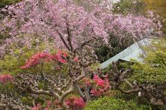 110416�������������쥶����