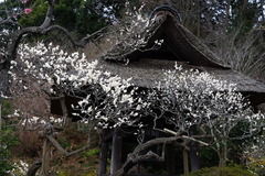 160215Åì·Ä»û¥¦¥á3