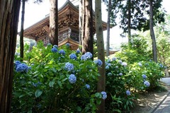 110706�߳л���������2